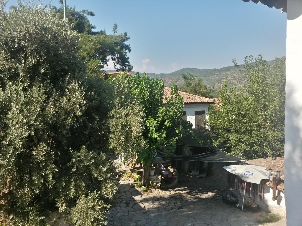 Zeytinli Konak Sirince Selçuk Phòng bức ảnh