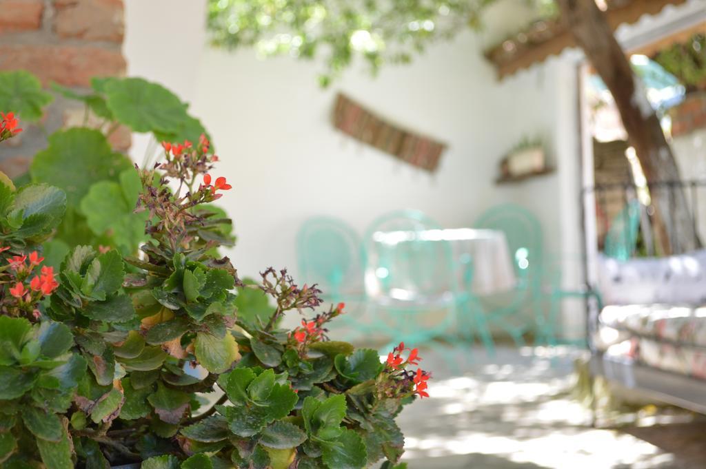 Zeytinli Konak Sirince Selçuk Ngoại thất bức ảnh